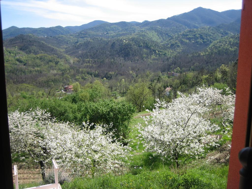 Agriturismo Casalino Di Ruggiero Simona Vila Beverino Exterior foto